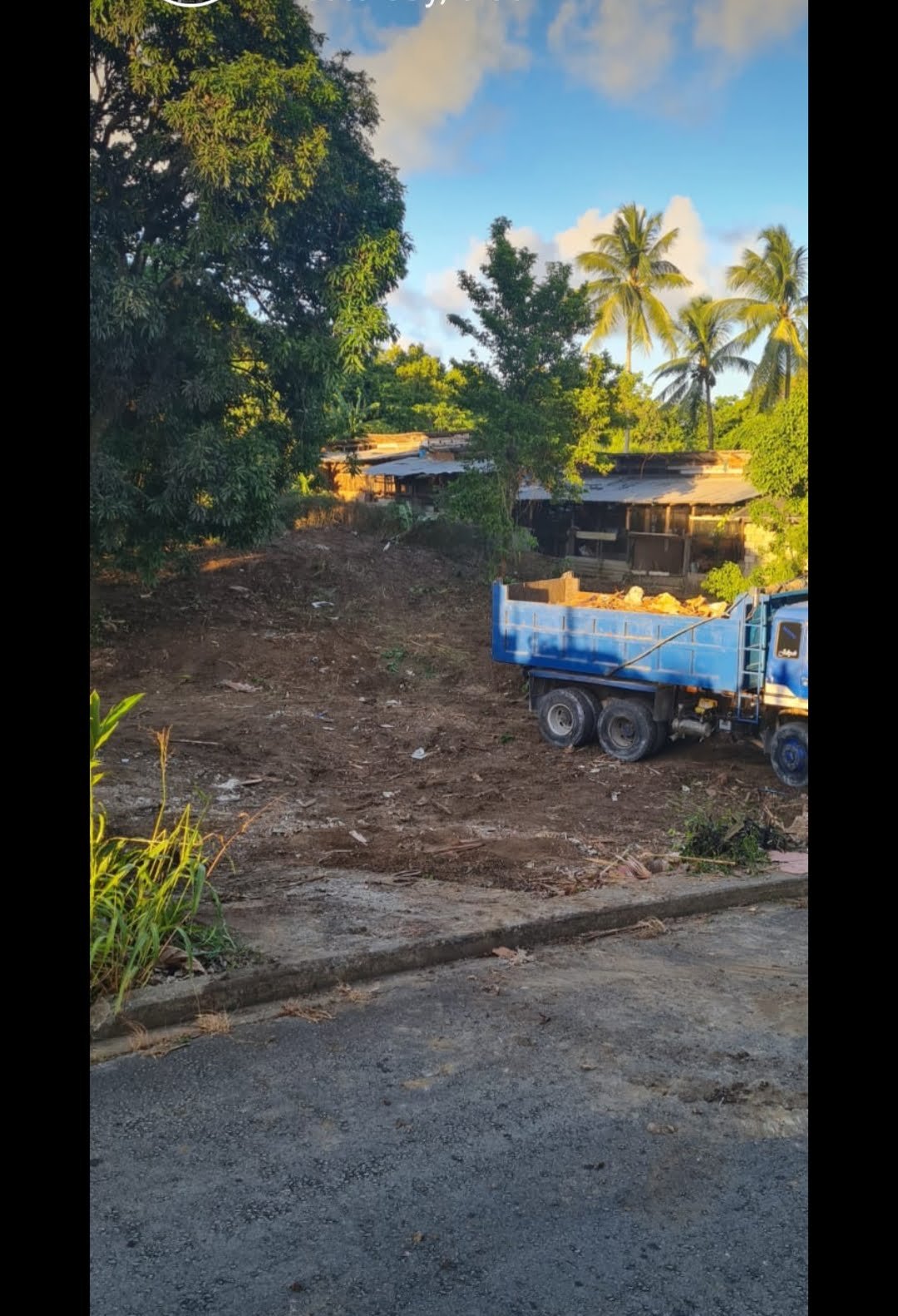 Site Clearing Service